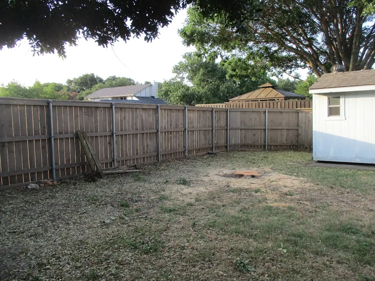 Cleared yard after professional tree removal in Powers Lake
